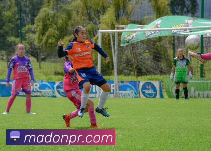 开云app服务体系